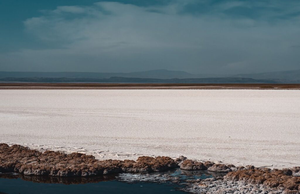 El Ferrocarril del Desierto de Atacama: Ingeniería de salares, logística minera y la conectividad ferroviaria histórica hacia Antofagasta