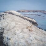 El refugio de la foca monje en las Cicladas: oceanografía, dinámicas litorales y conservación en el mar Egeo