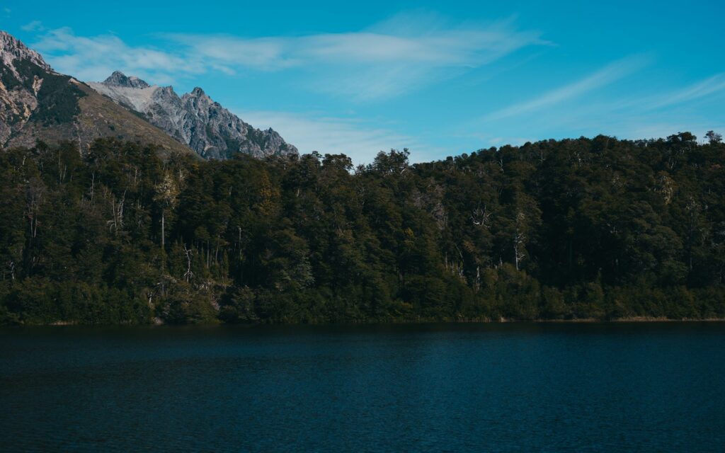Fiebre de barro y lluvia: mi bautizo de trail running en la selva húmeda de la Patagonia chilena