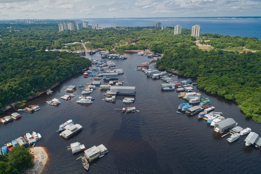 El Santuario Flotante del Pantanal: Biodiversidad, Dinámicas de Inundación y Conservación en el Humedal Más Grande del Mundo