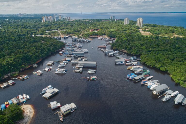 El Santuario Flotante del Pantanal: Biodiversidad, Dinámicas de Inundación y Conservación en el Humedal Más Grande del Mundo