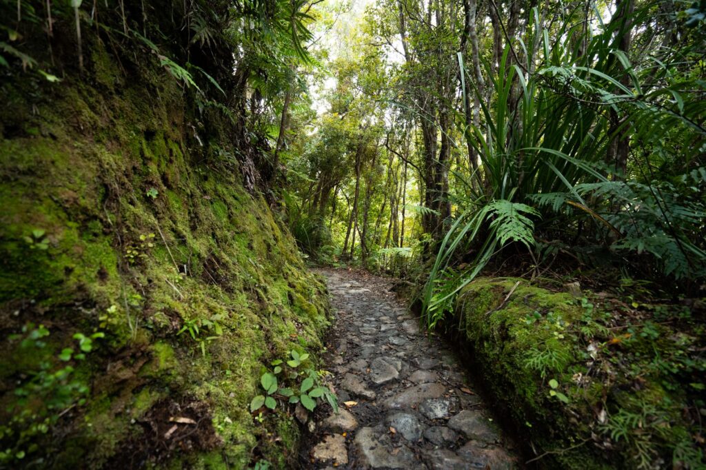 El laberinto de las llanuras volcánicas: cómo la movilidad geotérmica y los caminos de ceniza transforman el transporte en la región de Taupo