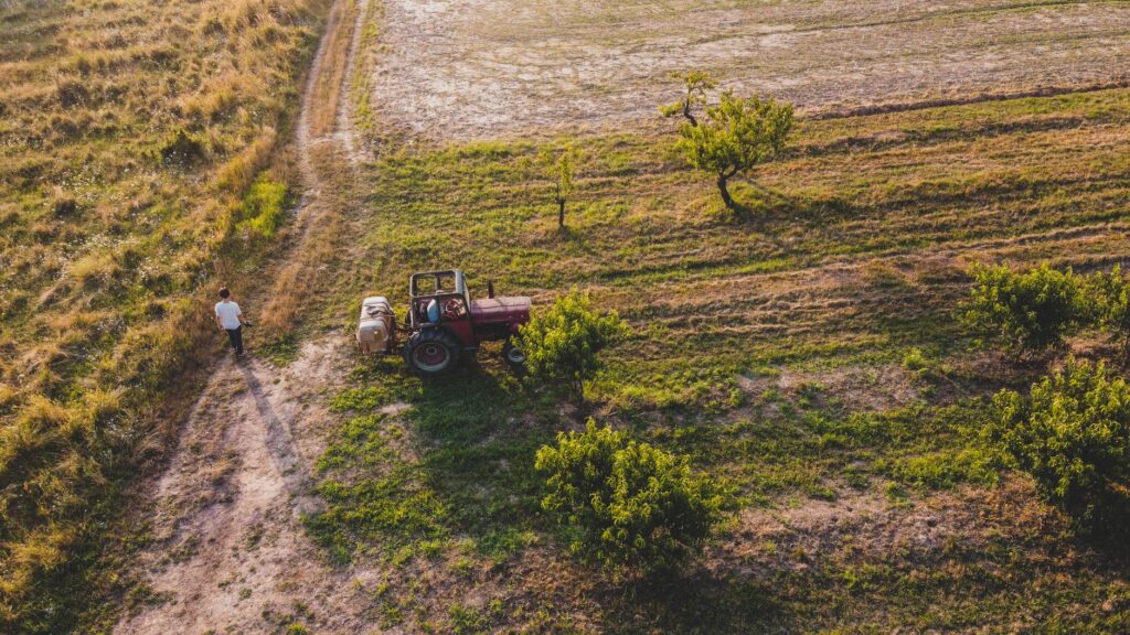 El latido meridional del Danubio: Puertos fluviales, esclusas colosales y la conectividad transfronteriza del Bajo Danubio