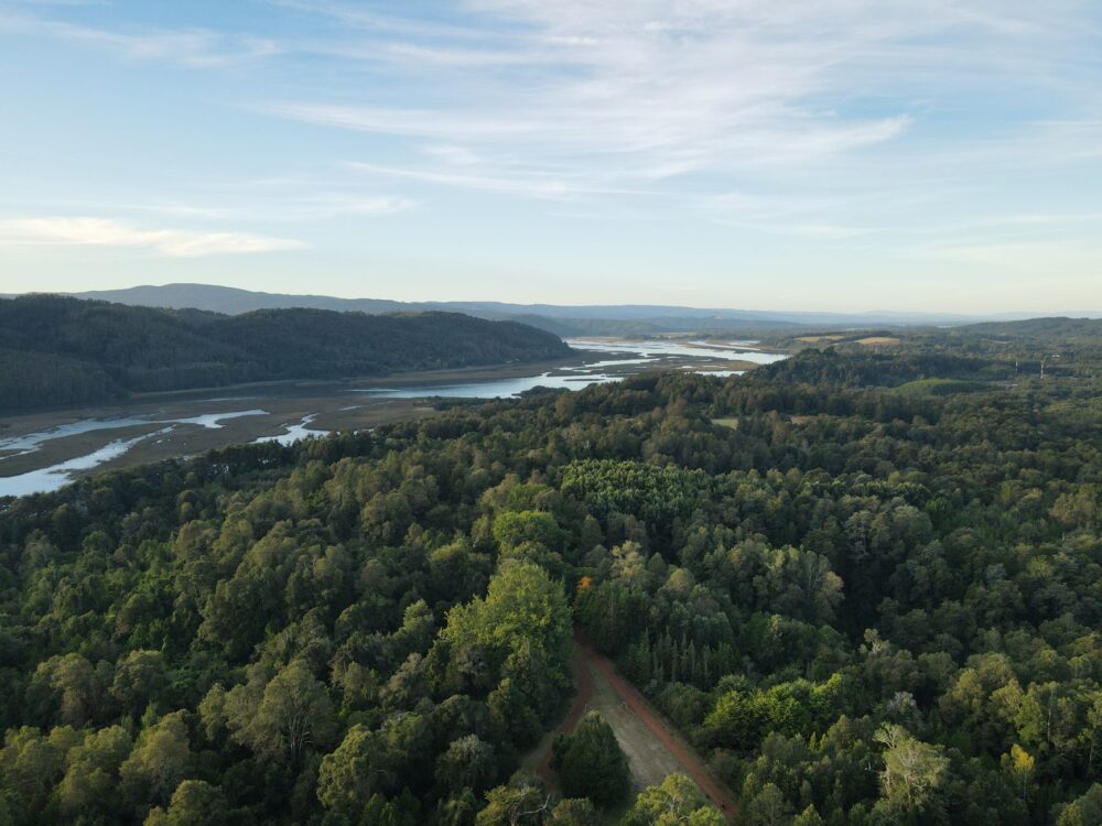 El Mapa de lo Imposible: Ingeniería de Fiordos y la Logística del Aislamiento en la Carretera Austral