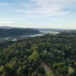 El Mapa de lo Imposible: Ingeniería de Fiordos y la Logística del Aislamiento en la Carretera Austral
