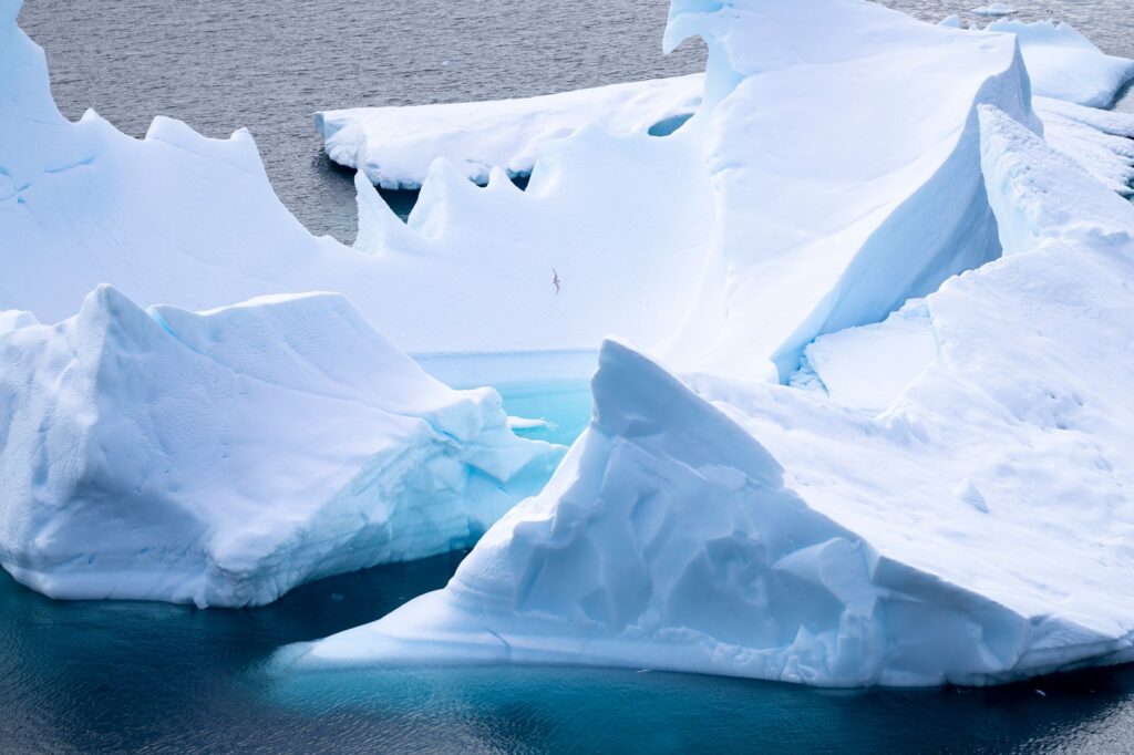 La Travesía del Pasaje de Drake en Barco Científico: Guía de Navegación Extrema y Logística Polar por el Mar de Hoces