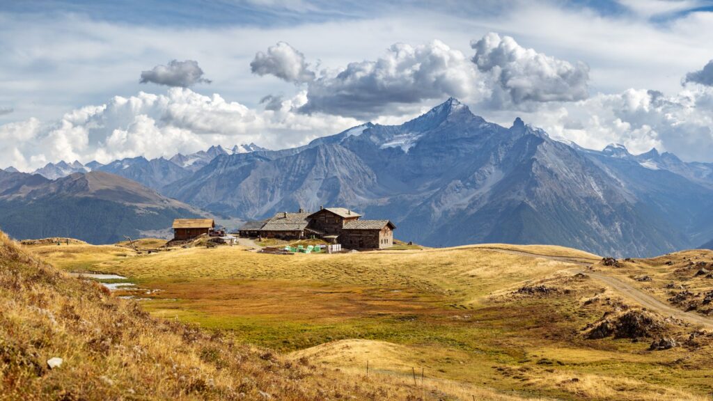 El latido secreto de las turberas de altitud: ecología y conservación en el macizo de Vanoise