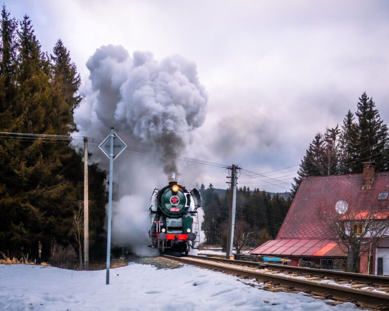 El laberinto ferroviario de los Cárpatos: locomotoras de vapor, trocha angosta y la frágil conectividad de la línea de Vaser