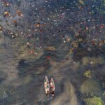 Estas son las fotografías del océano más impactantes del año