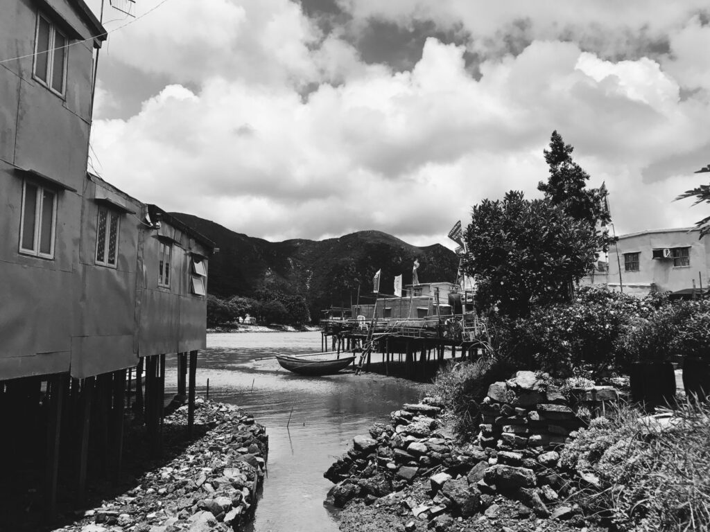 El dilema verde de Hong Kong: Cómo replantear el ecoturismo entre la densidad urbana y la urgencia silvestre