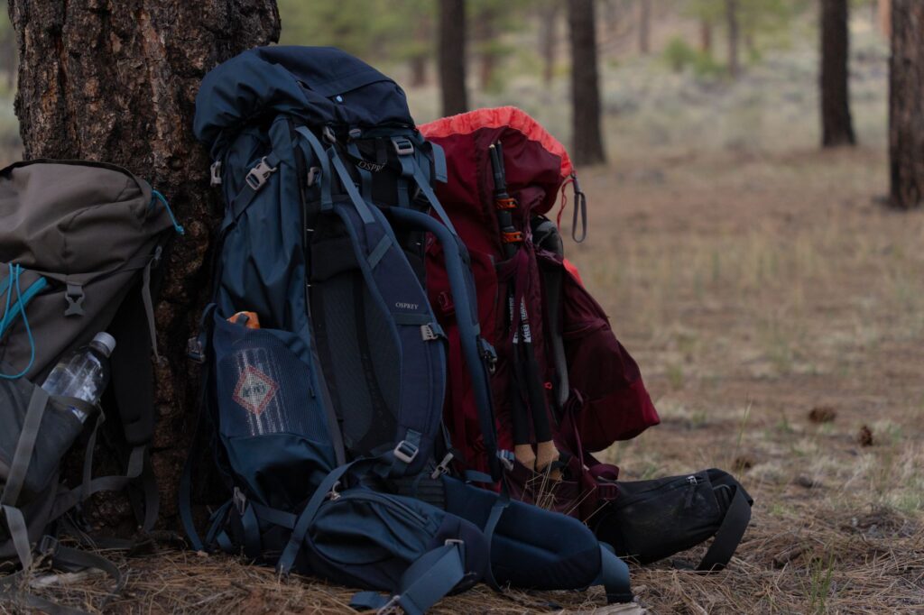 La Travesía del Sendero de John Muir en Sierra Nevada: Guía de Expedición y Senderismo por la Cresta Granítica de California