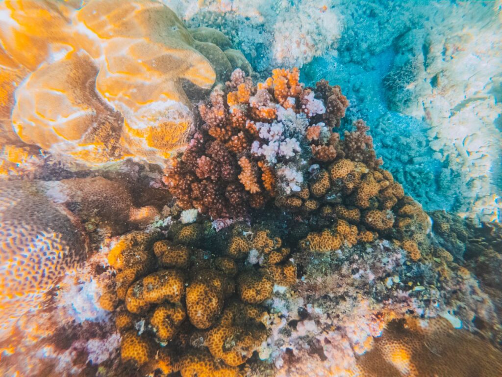 El Niño altera el mapa global de los viajes: ganadores y perdedores de un clima en transformación