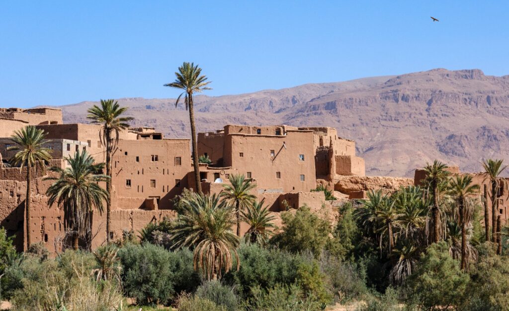 El Renacimiento de la Arquitectura de Tierra: Adobe, Viga y Memoria en los Oasis del Valle del Draa