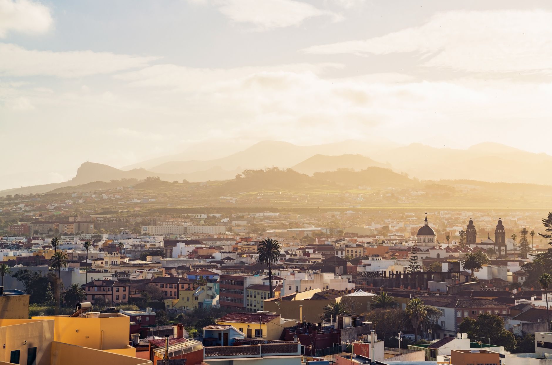 El secreto de la lava y el viñedo: la liturgia del Mercado Central de La Laguna y los tesoros de Anaga
