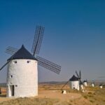 El latido de las estepas salinas: cómo la bioingeniería y la custodia ganadera transforman la conservación en los Monegros