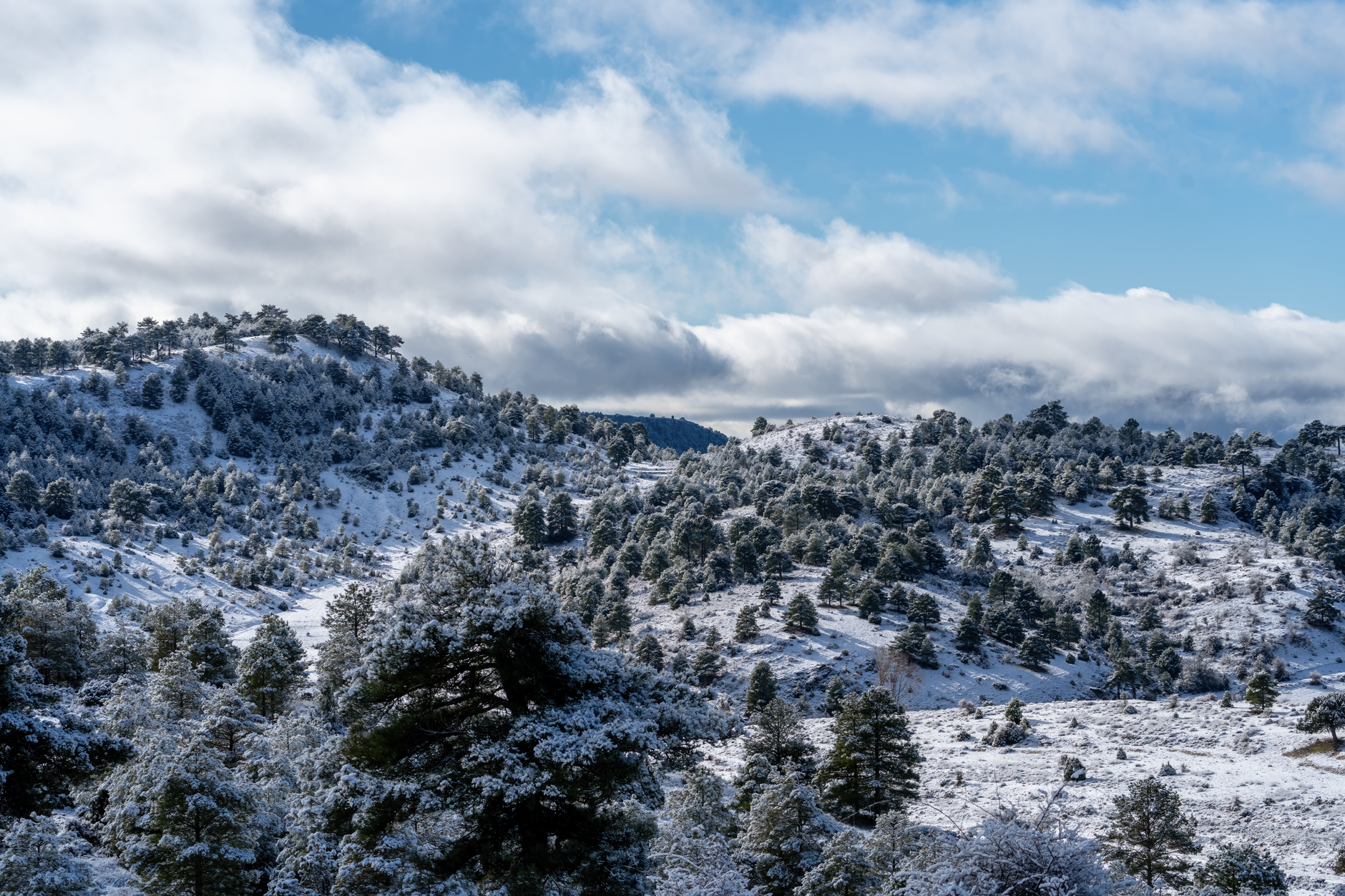 Diciembre en Estados Unidos: Geografía de la Sostenibilidad Invernal y Destinos Lejos del gentío