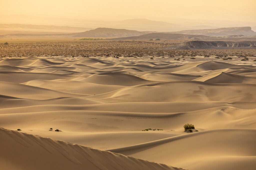 El laberinto intermodal del oasis de Liwa: Pistas de duna, camiones cisterna y la frágil conectividad de los asentamientos del Rub al-Jali