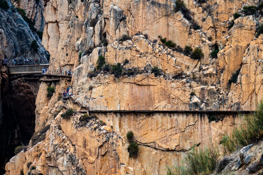 El latido mineral del Expreso Transcantábrico: ingeniería de vía estrecha y el ritmo vertical de los valles del norte