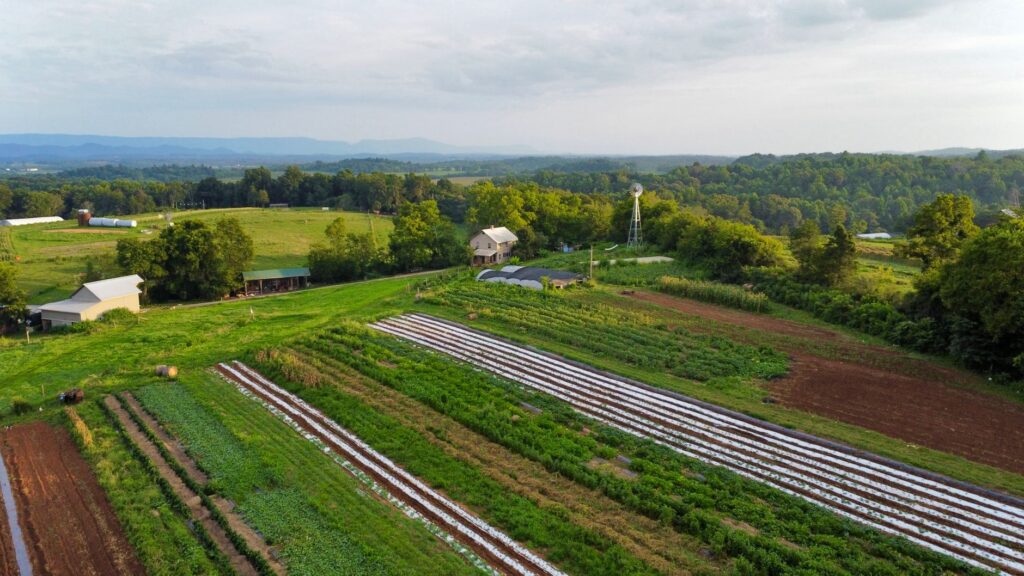 Vermont, la cumbre verde del Este: liderazgo ecológico y sostenibilidad en 2026