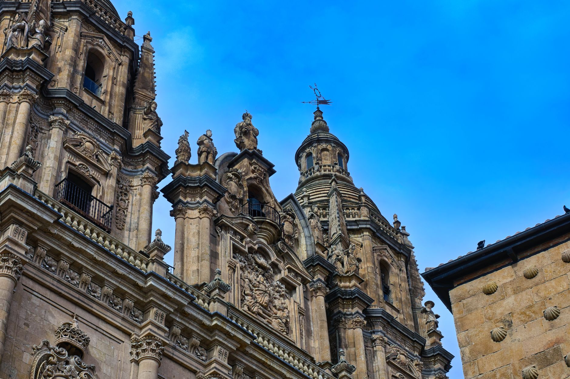 El secreto de la juncia y el estuario: la liturgia del Mercado Central de Almería y los tesoros del Poniente