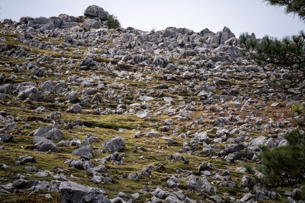 El Despertar de los Alpes Dináricos: Naturaleza Salvaje y Senda en el Parque Nacional de Durmitor