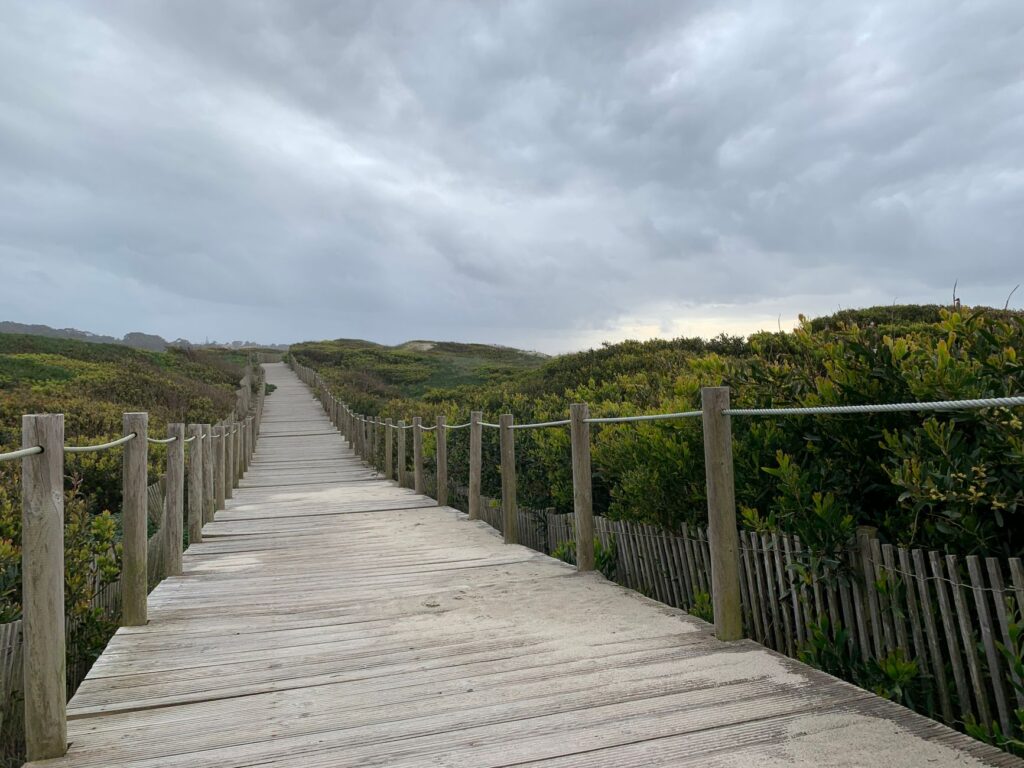 El refugio del pingüino de Magallanes en la costa patagónica: oceanografía, corrientes de plataforma y conservación en las pingüineras de Chubut