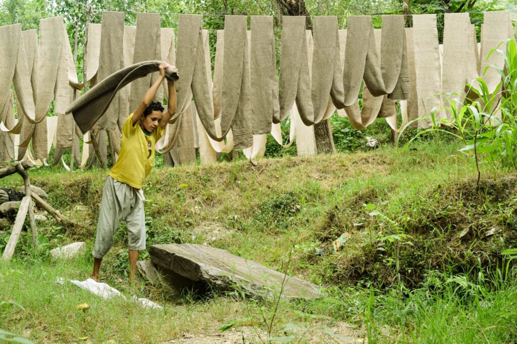 El latido verde de Kumaon: sostenibilidad y alta gama en los confines del Corbett