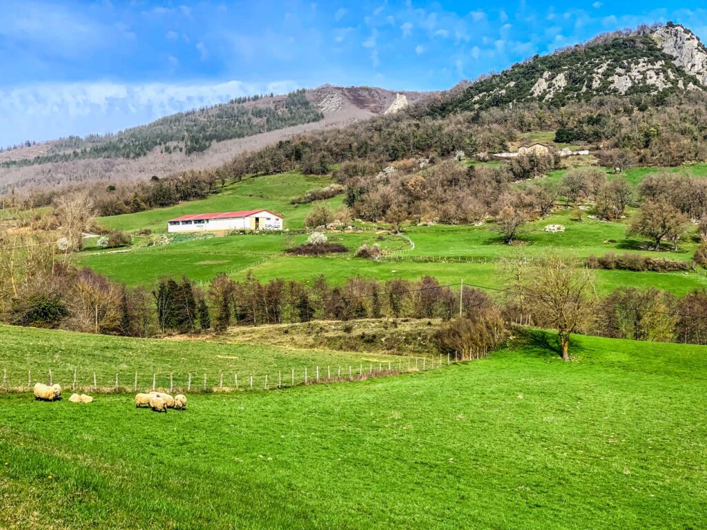 El secreto de la piedra y la brasa: la liturgia del txuletón y los asadores históricos en el valle del Oria