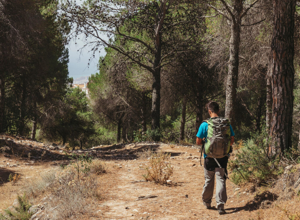 El secreto mejor guardado de la Sierra Norte: tras los pasos del agua y la pizarra en el Barranco de Patones