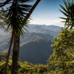 Rieles entre volcanes y bruma: la travesía ferroviaria que revela el pulso secreto de Costa Rica