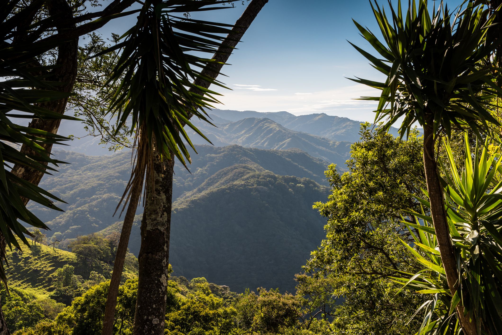 Rieles entre volcanes y bruma: la travesía ferroviaria que revela el pulso secreto de Costa Rica