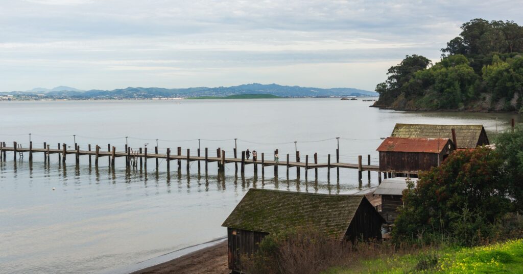 El laberinto de las vertientes de basalto: cómo el transporte de baja emisión redefine la movilidad en las islas de Chiloé