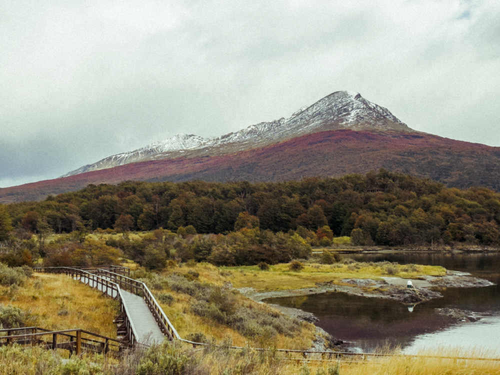 El Ferrocarril Austral Fueguino: Ingeniería de la Tierra del Fuego y el Fin del Mundo sobre Rieles