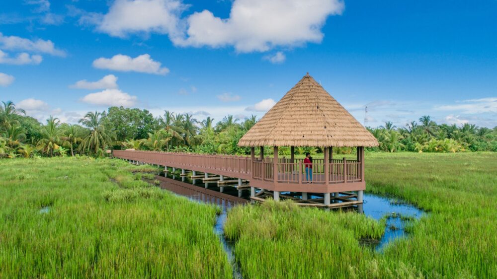 El latido verde de Dakoh: el nuevo horizonte ecoturístico en el corazón de Kelantan