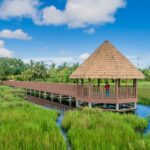 El latido verde de Dakoh: el nuevo horizonte ecoturístico en el corazón de Kelantan
