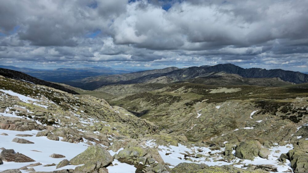 El Refugio de la Cabra Montés en Gredos: Biología, Corredores Rupícolas y Conservación en el Macizo Central
