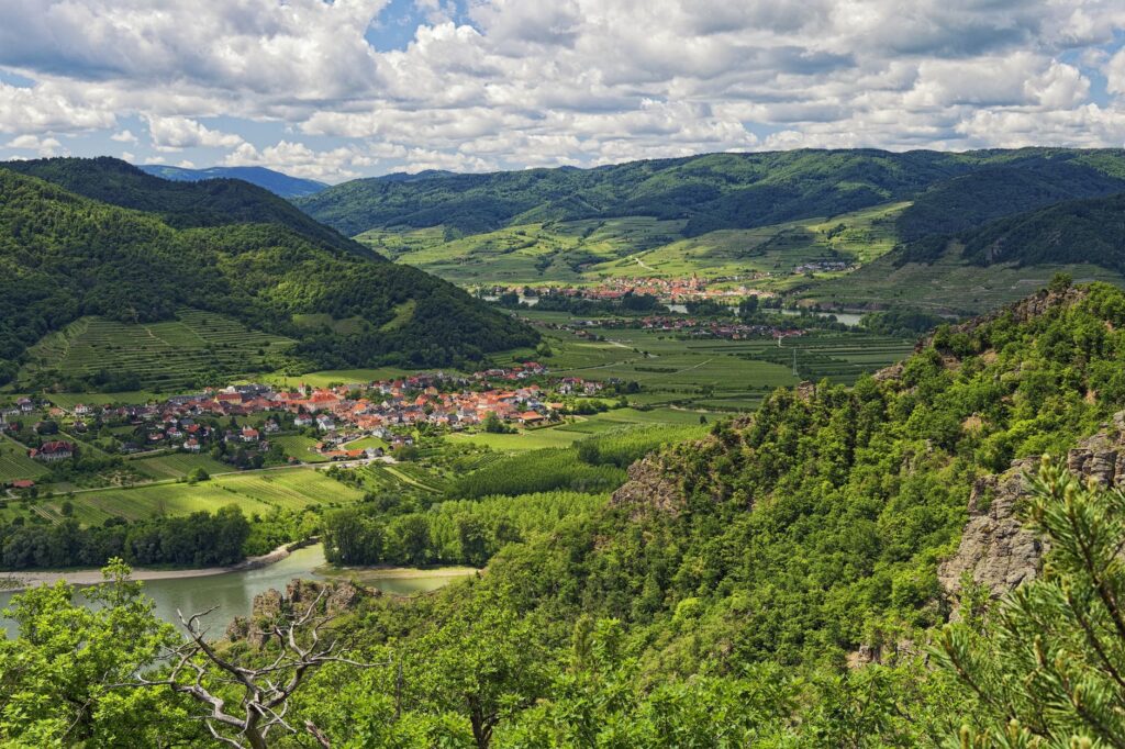 El laberinto de los valles fluviales: cómo la navegación fluvial híbrida y las rutas de baja emisión transforman el transporte en el Danubio austriaco
