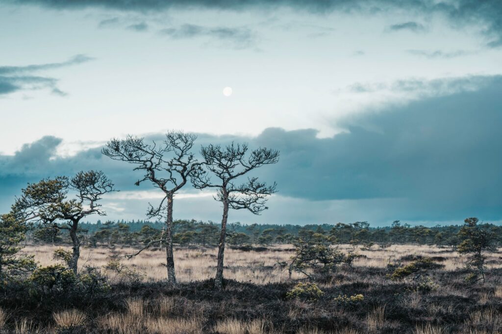 La Travesía del Sendero Costero de Cape Wrath en Escocia: Guía de Expedición y Senderismo por los Acantilados Salvajes del Atlántico Norte