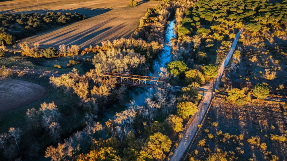 El Ferrocarril Transpirenaico Oriental: Ingeniería de valles profundos, logística fronteriza y la conectividad ferroviaria histórica entre Ripoll y Puigcerdà