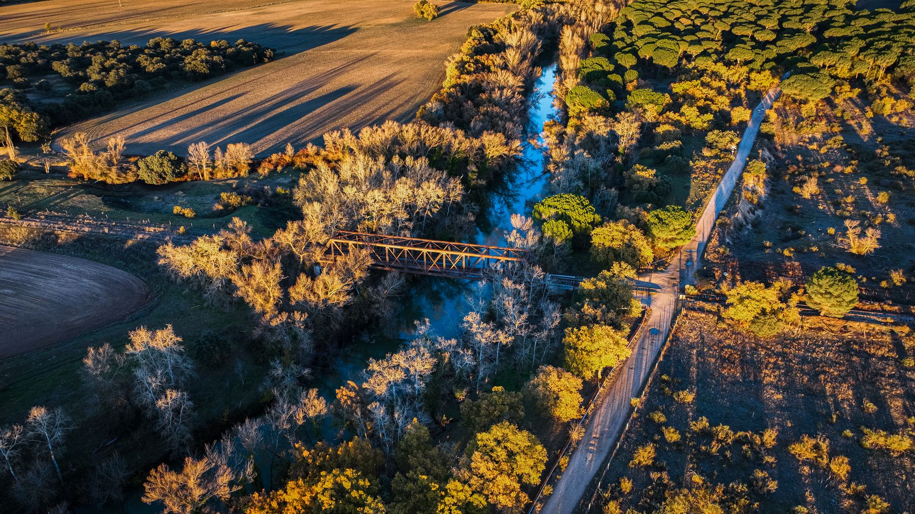El Ferrocarril Transpirenaico Oriental: Ingeniería de valles profundos, logística fronteriza y la conectividad ferroviaria histórica entre Ripoll y Puigcerdà