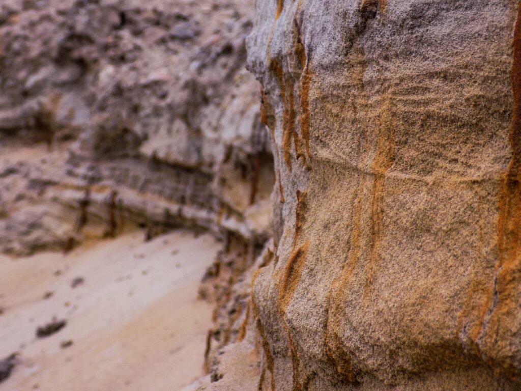 Cumbres áridas y conservación: la metamorfosis verde de los montes Hajar en los Emiratos Árabes Unidos