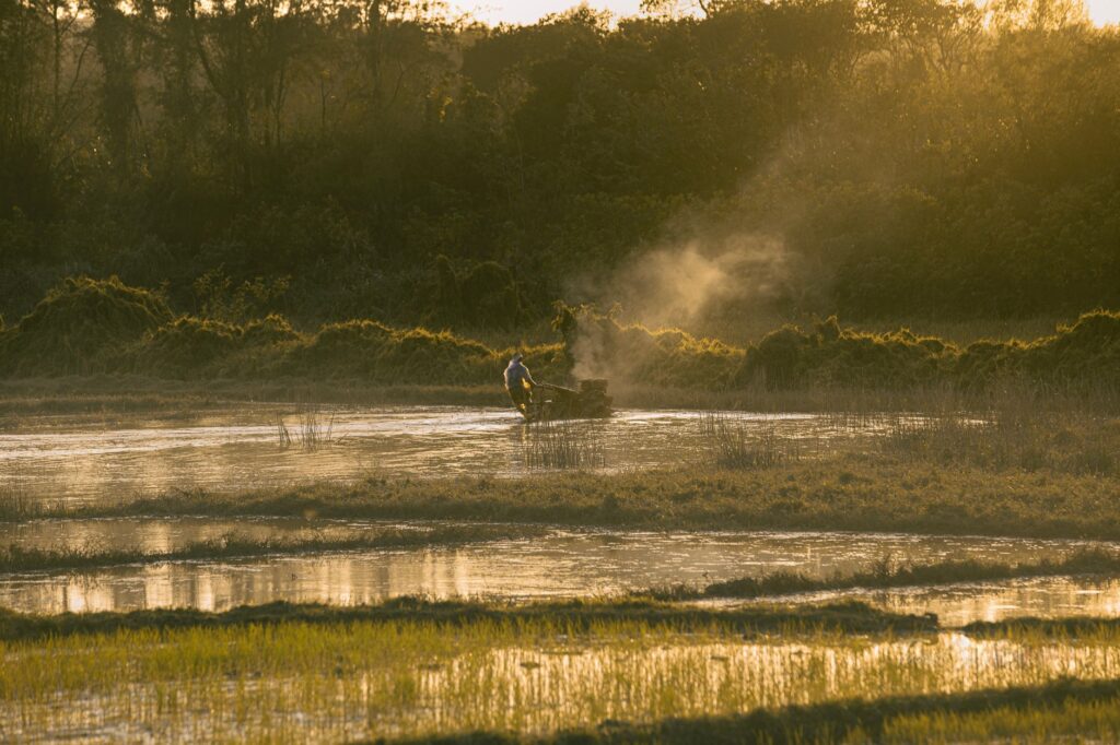 El latido verde de Kanepokhari: cuando el bambú redefine el ecoturismo en el Terai de Nepal