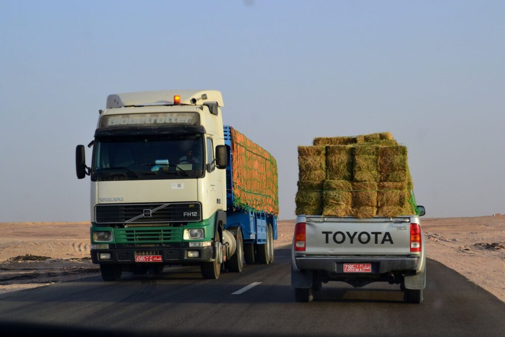 El latido intermodal de la Autopista Trans-Salalah: Ingeniería de niebla, logística monzónica y conectividad en el Dhofar