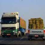 El latido intermodal de la Autopista Trans-Salalah: Ingeniería de niebla, logística monzónica y conectividad en el Dhofar