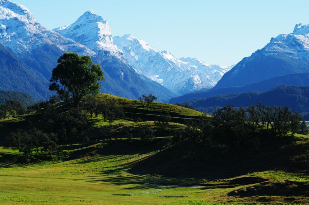 El latido intermodal de la región de Westland: Ferrocarriles alpinos, pasos de alta montaña y la frágil conectividad de la Costa Oeste de Nueva Zelanda