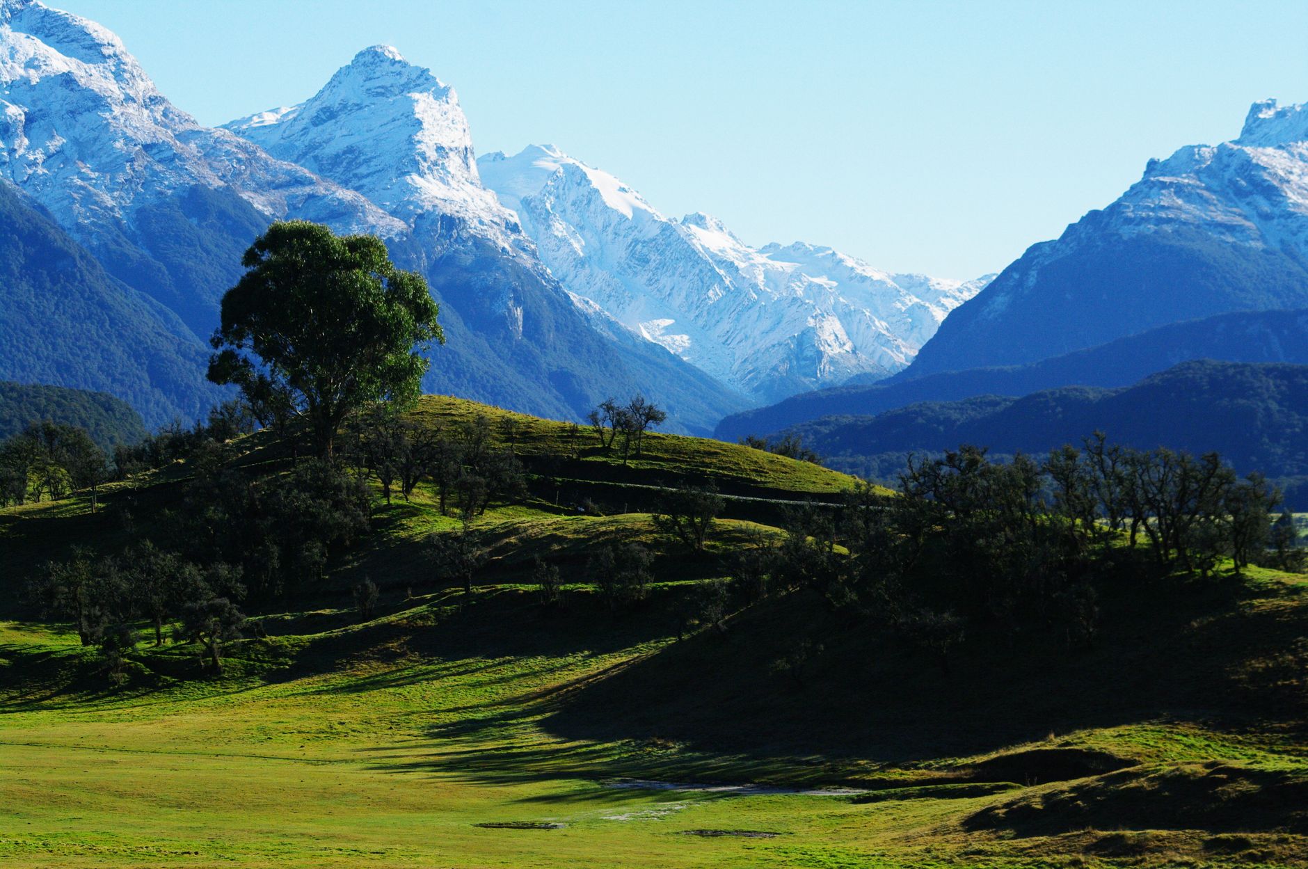 El latido intermodal de la región de Westland: Ferrocarriles alpinos, pasos de alta montaña y la frágil conectividad de la Costa Oeste de Nueva Zelanda