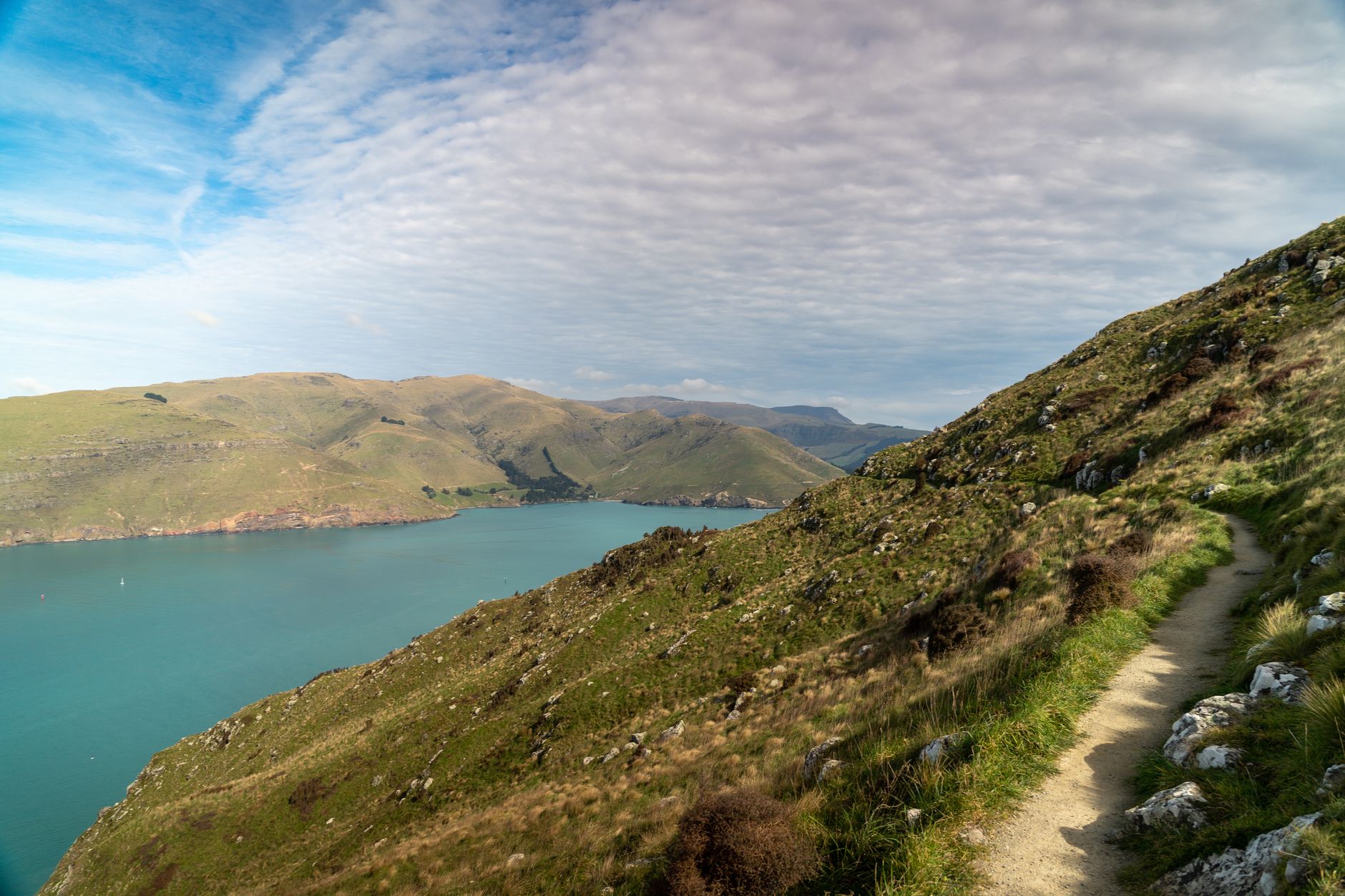 La Travesía del Sendero de Te Araroa en Nueva Zelanda: Guía de Expedición y Senderismo por la Espina Dorsal de Aotearoa