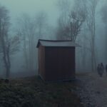 El silencio magnético de las Landas: arquitectura de pino, bruma atlántica y el último refugio del agua dulce
