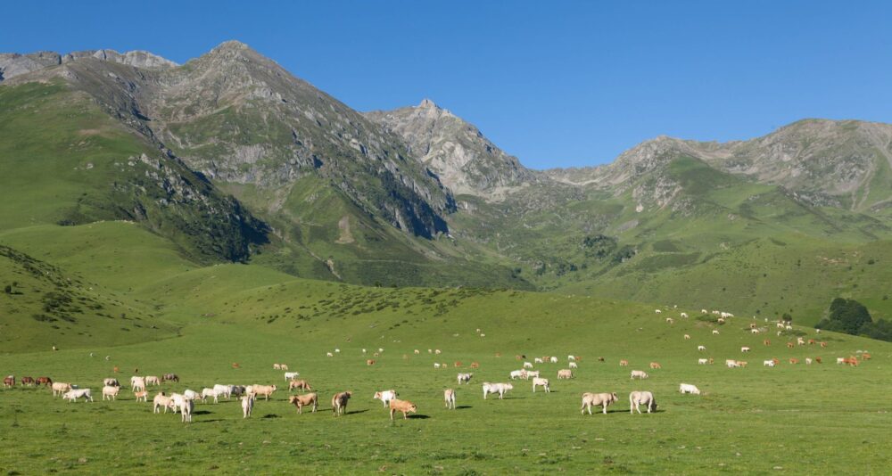 El latido mineral del Geoparque de Sobrarbe: cómo la movilidad sostenible y los antiguos caminos ganaderos transforman el transporte en el Pirineo aragonés