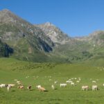 El latido mineral del Geoparque de Sobrarbe: cómo la movilidad sostenible y los antiguos caminos ganaderos transforman el transporte en el Pirineo aragonés